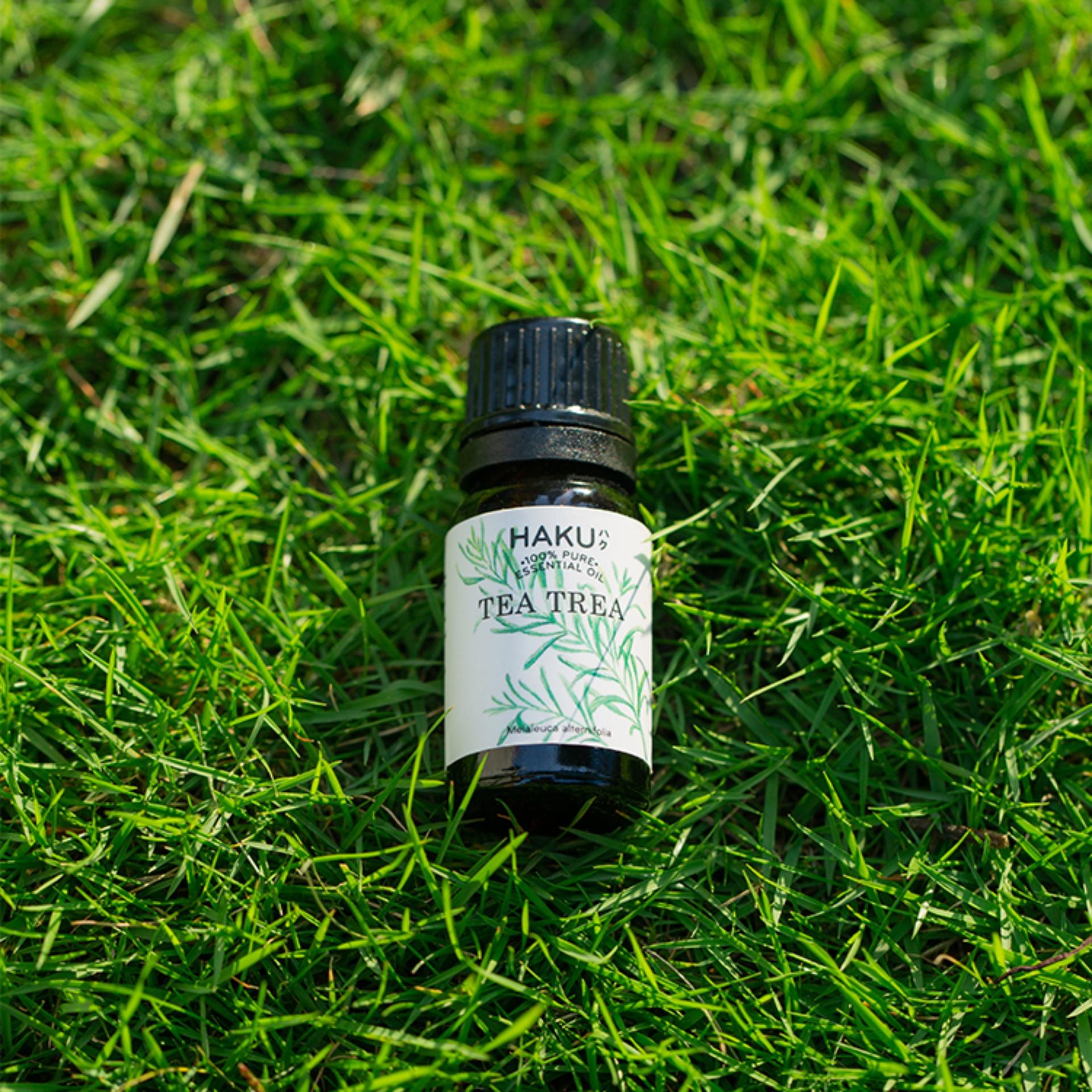 Tea Tree Essential Oil
