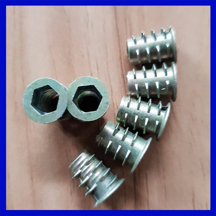 Túi ốc cấy gỗ phi 6 - 100 con