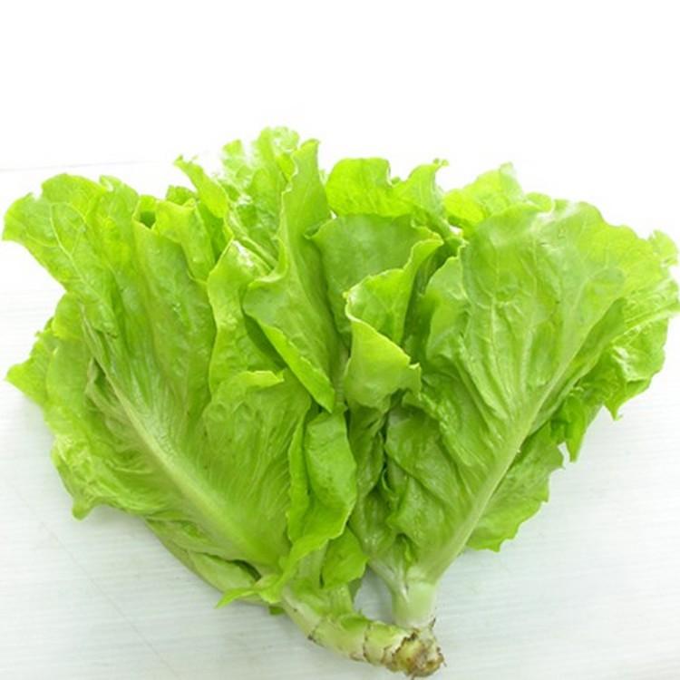 Hạt giống Xà lách mỡ (10g)