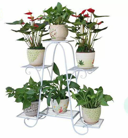 Kệ sắt để cây cảnh, chậu hoa 6 tầng (F1)