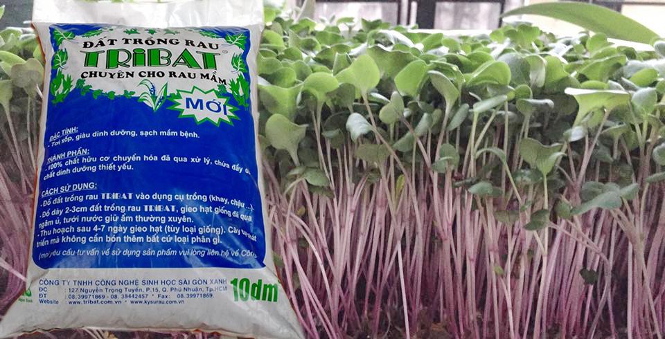 chế phẩm sinh học trichoderma Sfarm gói 1kg