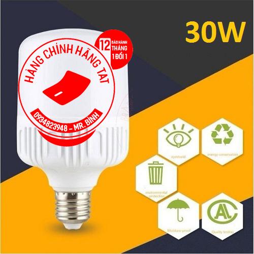 Bộ 10 bóng đèn Led TAT 30W cao cấp tiết kiệm điện