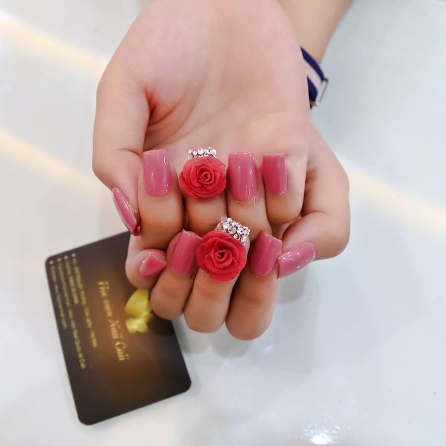 Set 30 bông hoa đậu gân nhiều màu sắc