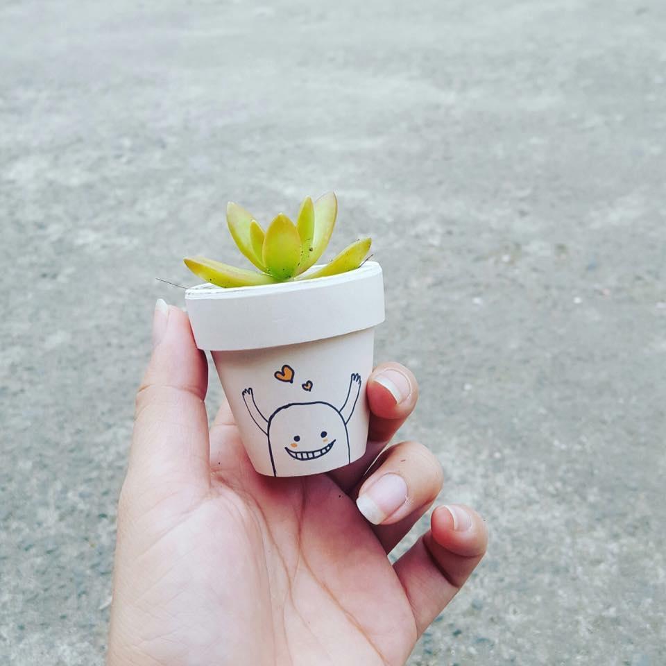 Combo 2 chậu sen đá mini siêu cute
