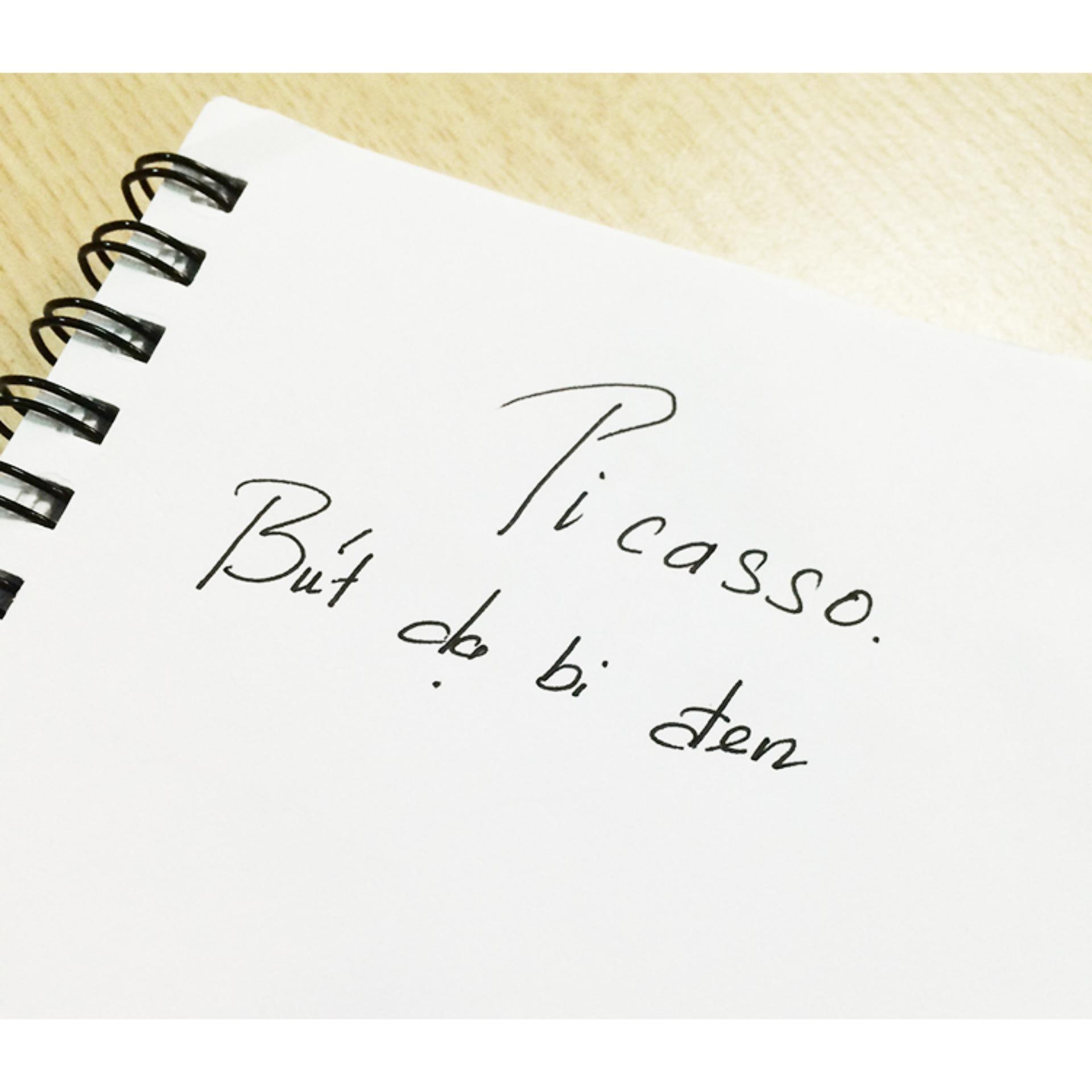 Ruột bút dạ bi cao cấp picasso 0.5mm (đen)