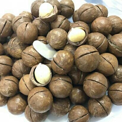 Hạt macca 1kg