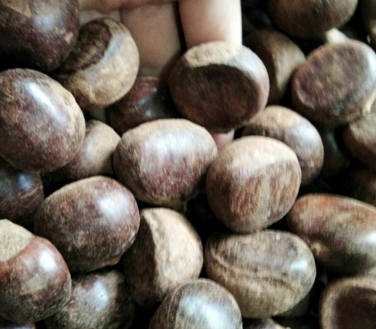 1kg hạt dẻ sống