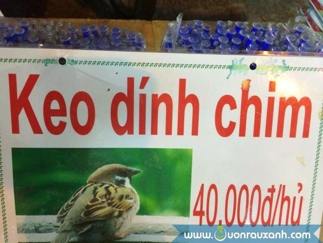 Keo bẫy chim Siêu Dính
