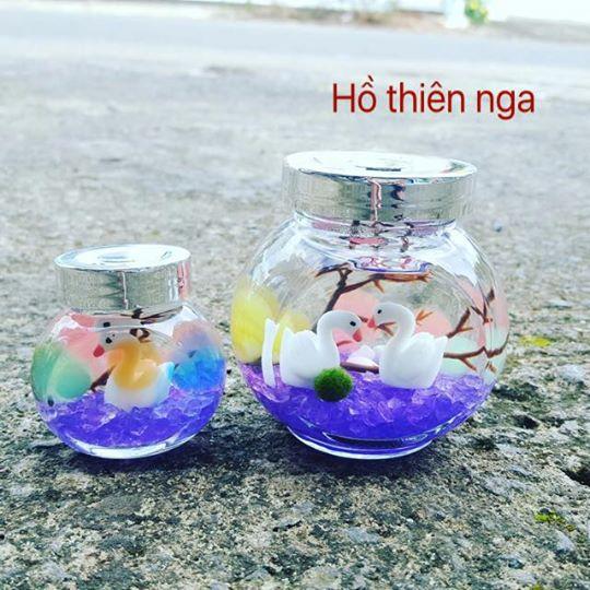 Combo 2 set marimo hồ thiên nga