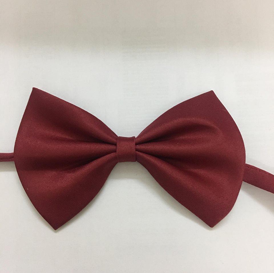 Set 2 nơ đeo cổ bé trai