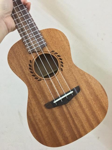 ĐÀN CONCERT LÁ LÚA CAO CẤP