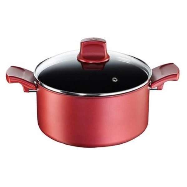 Nồi lẻ hai quai Tefal Character có nắp - 24cm