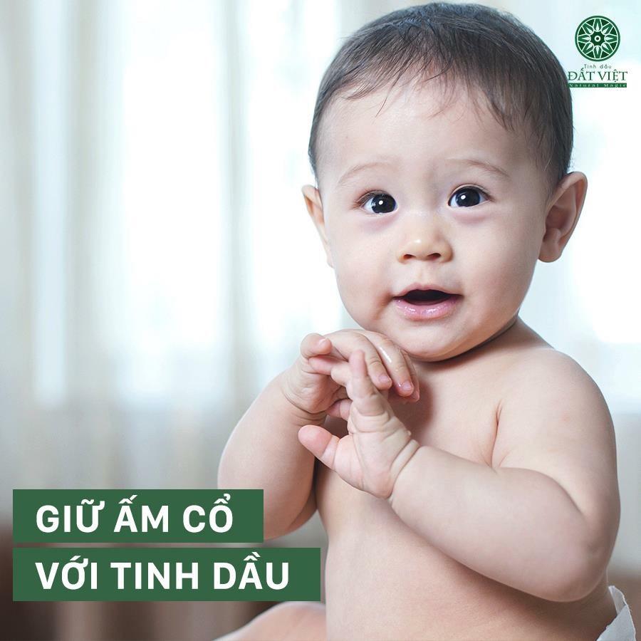[HCM]Tinh Dầu Tràm Đất Việt 10ml