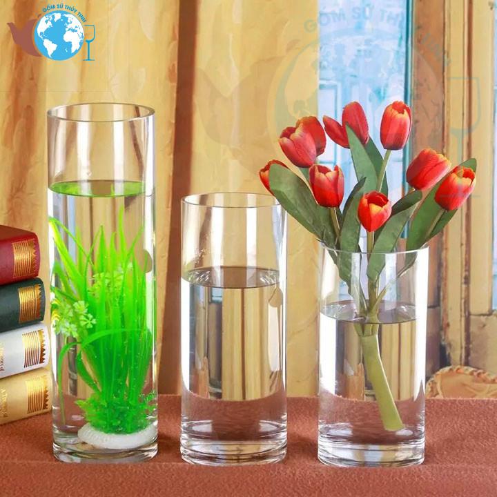 [HCM]Lọ Hoa Thủy Tinh Trụ Tròn 10x30 Cm