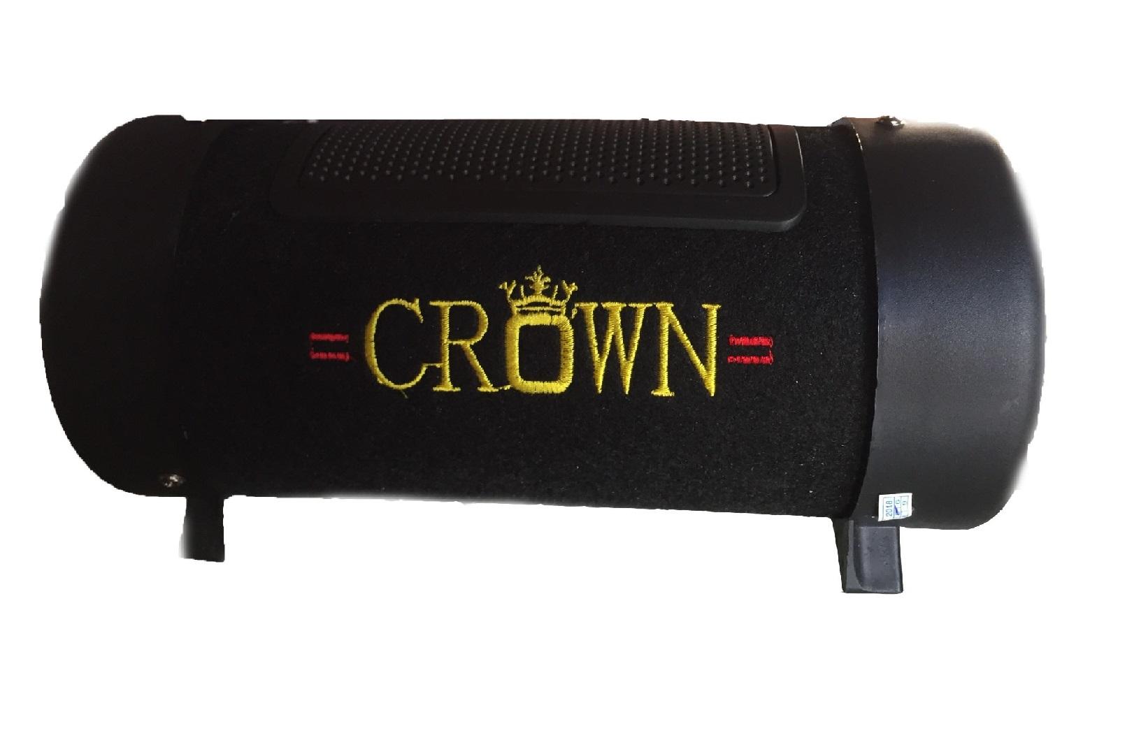 [HCM]Loa di động Crow cỡ số 4  Có Bluetooth (Đen)