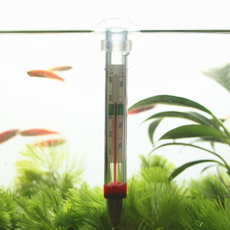Nhiệt kế thủy tinh Boyu BT-01