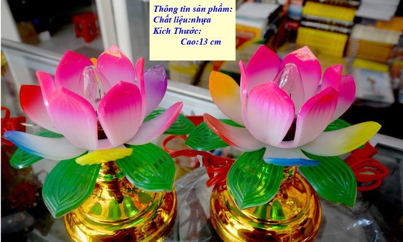 [HCM]Cặp Đèn sen cắm điện đặt bàn thờ-Nhiều cỡ