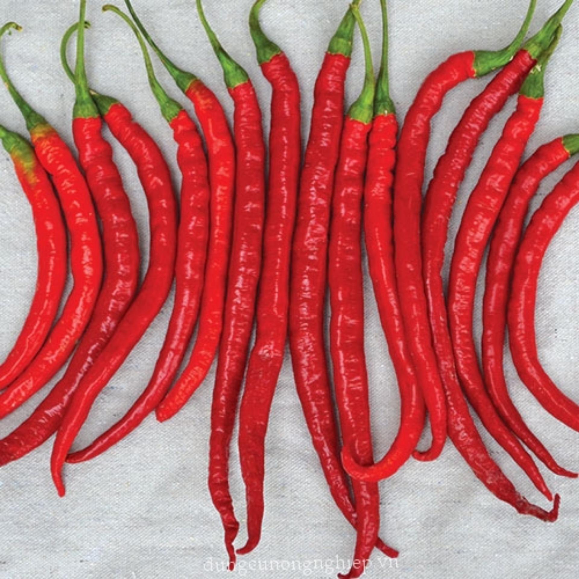 Hạt giống Ớt chỉ đậu đũa