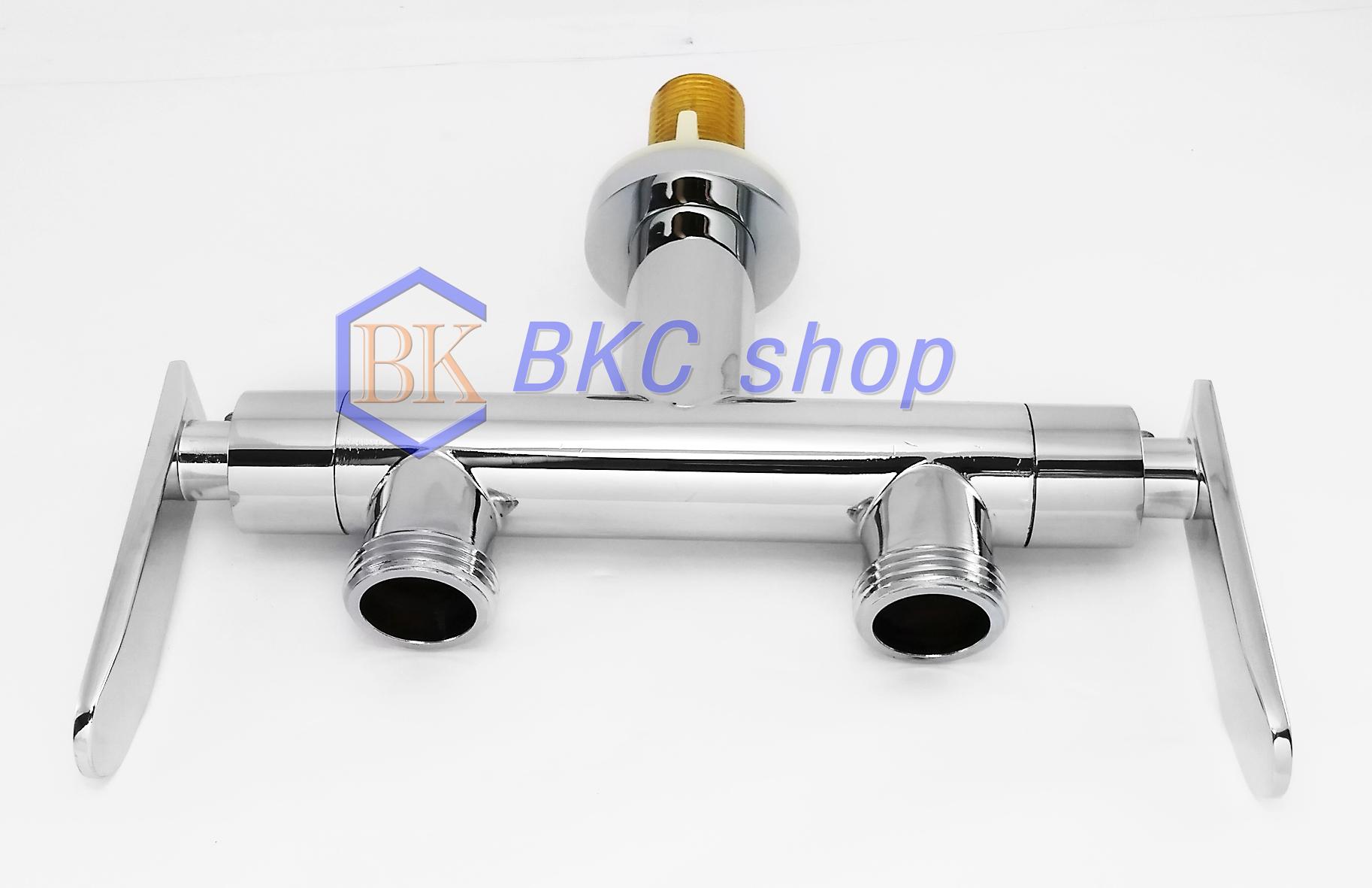 [HCM]Vòi rửa chén lạnh đôi Sanji CL16 (Bạc)