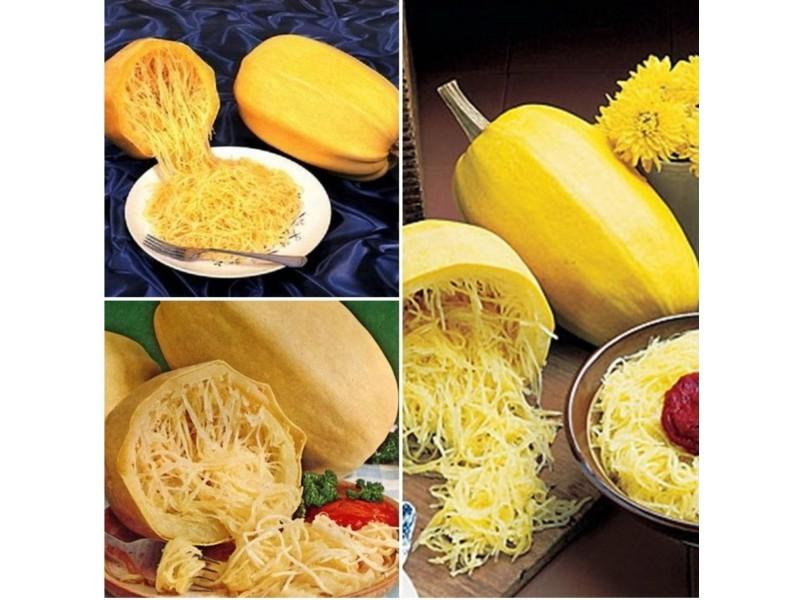 1Gr Hạt Giống Bí Sợi Mì Ý Spaghetti (A1.302| C38A*W44*M159)