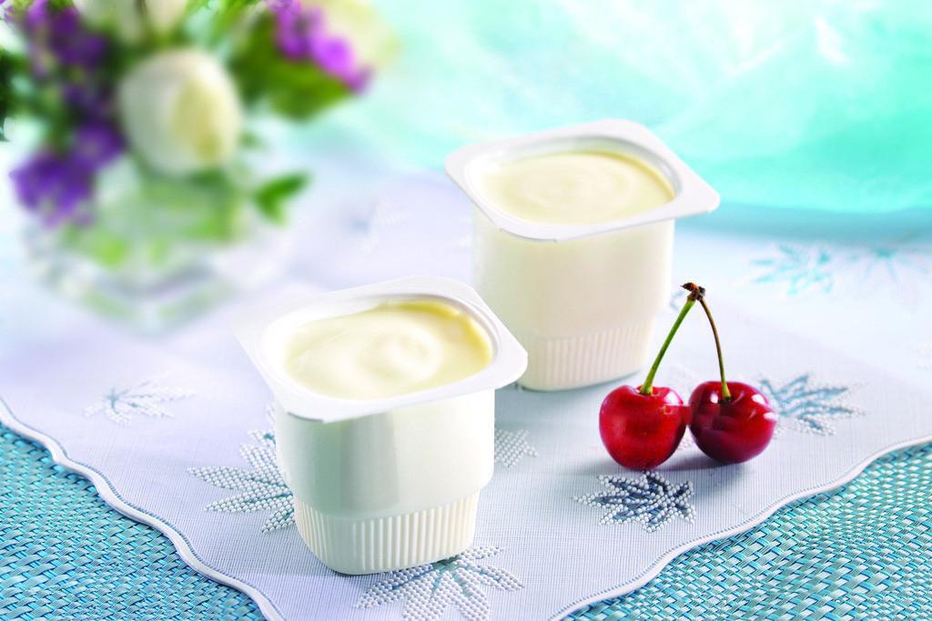 Máy làm sữa chua Yogurt Maker Nhật Bản