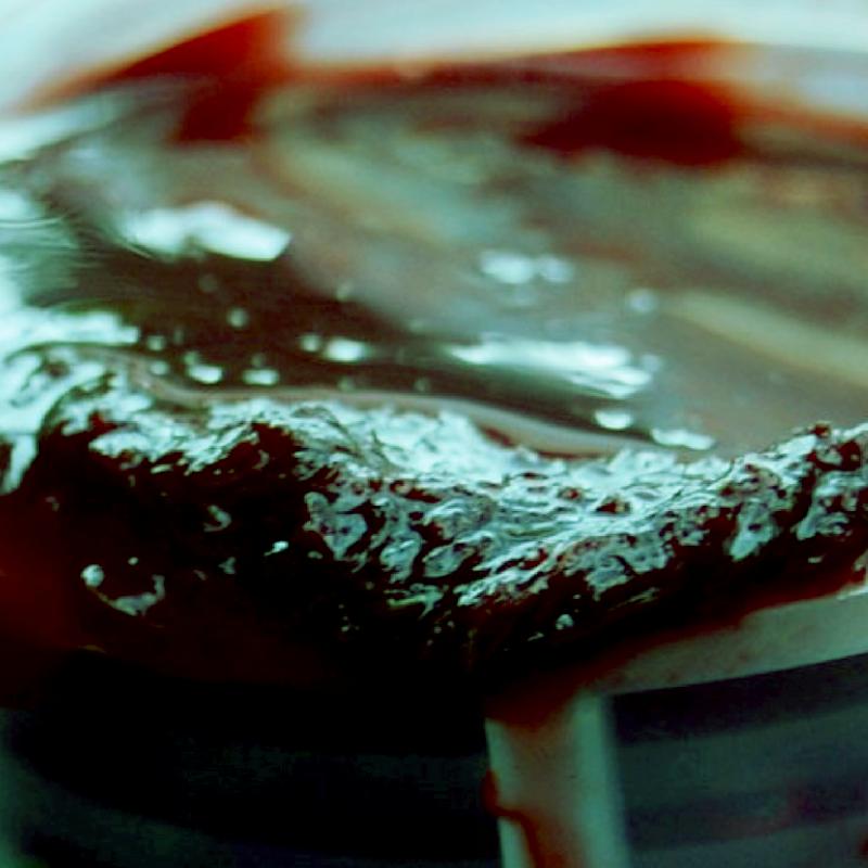 Chai Dịch Trùn Quế Đậm Đặc Eel Q Cho Lươn, Cá và BaBa ( 1 LÍT )