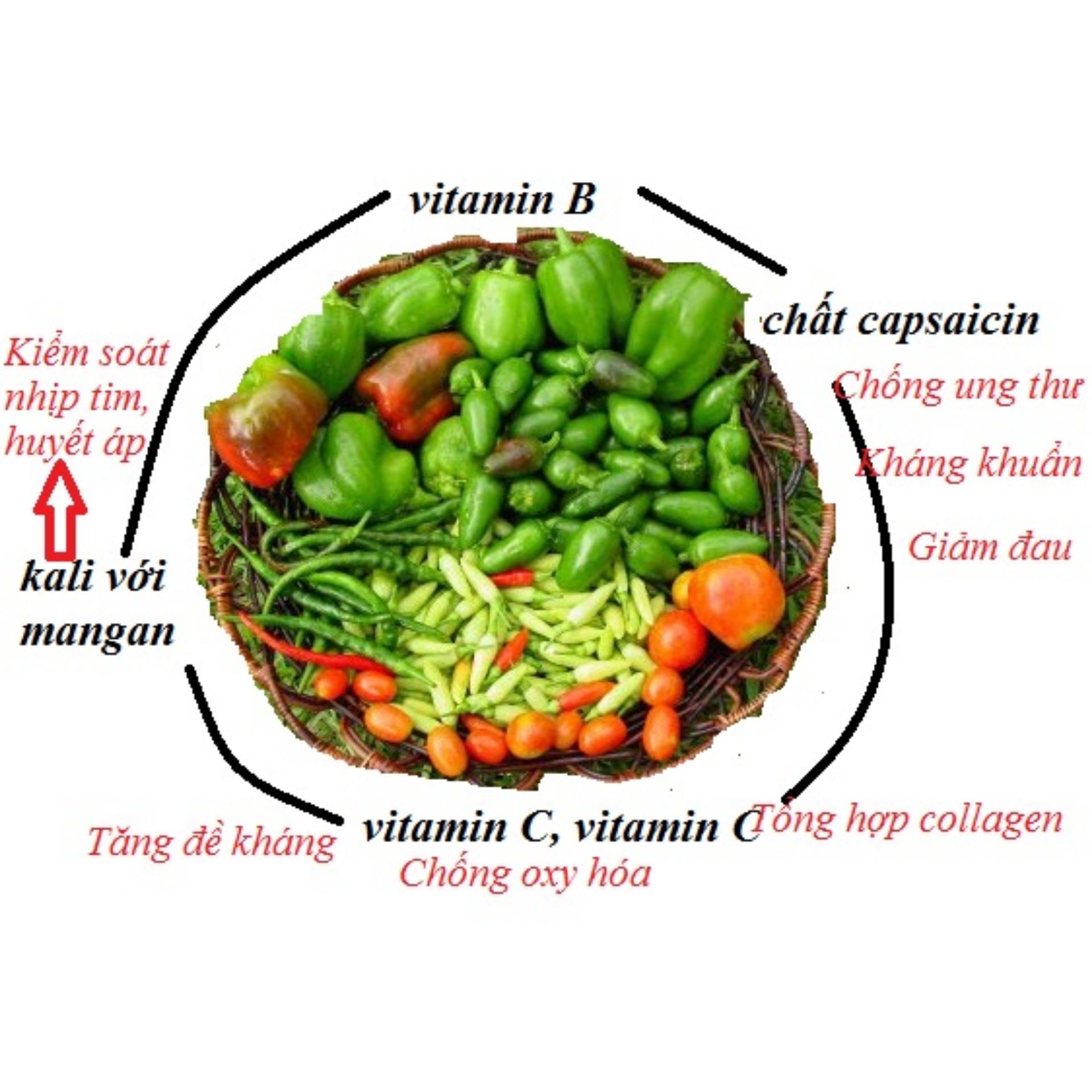 [HCM]Hạt giống ớt kiểng  PN24  - gói 02g