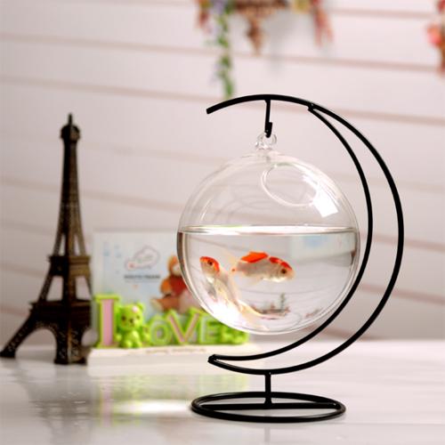 Bể cá mini để bàn treo cung trăng 14cm