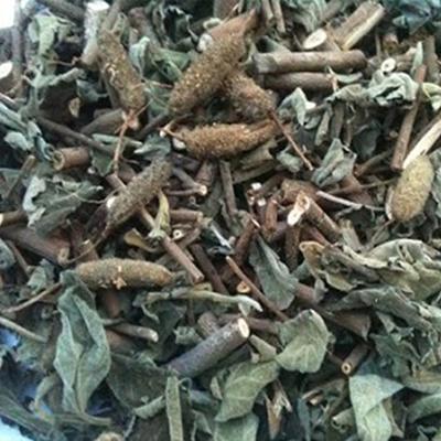 [HCM]Cây an xoa - HOA TÍM