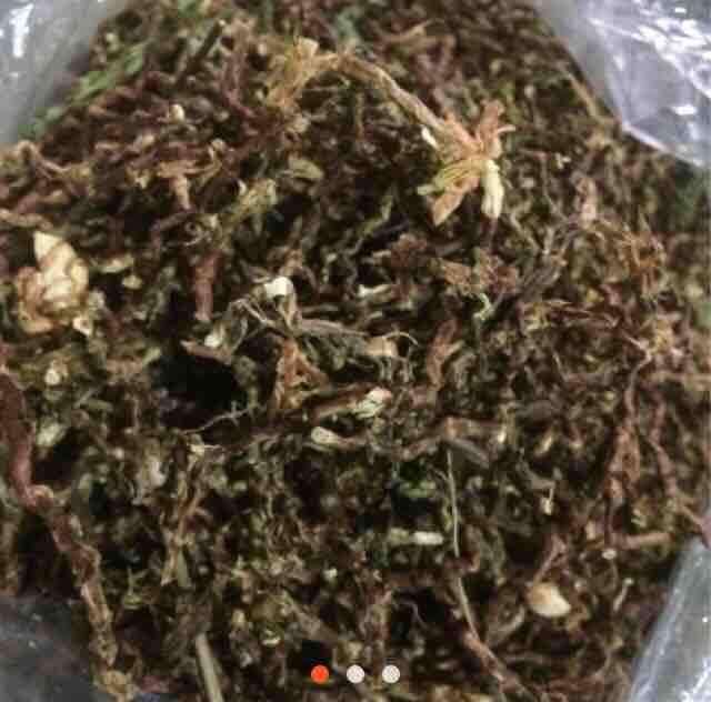 Trà Sơn Mật Hồng Sâm [1kg]