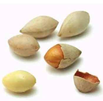 BẠCH QUẢ 0.5KG