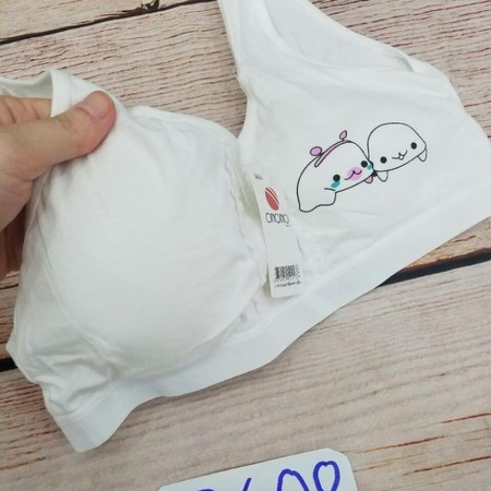COMBO 2 ÁO LÁ HỌC SINH THÁI LAN COTTON LÓT MÚT (CÀI SAU)