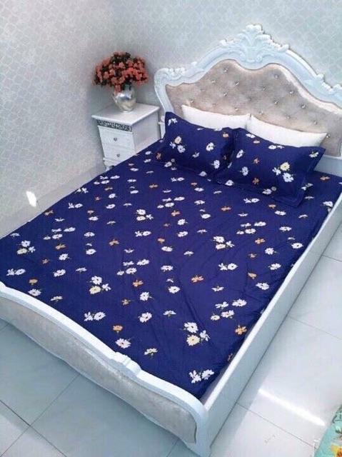 Bộ ga chun & gối cotton poly họa tiết 2.2x2m