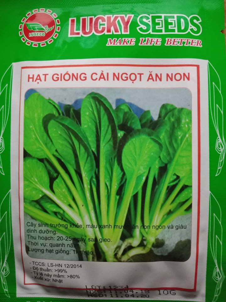 Hạt Giống Cải Ngọt Ăn Non - 10 gr