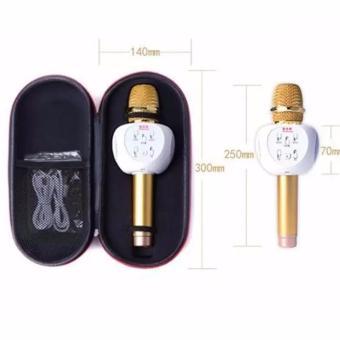 Micro Karaoke 3IN1 ZBX - 66