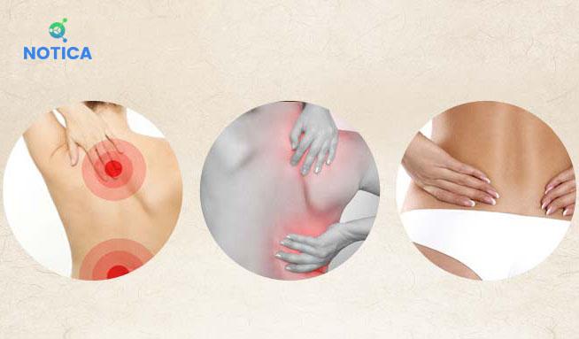 BÙN CỨU DƯỠNG SINH GIẢM BÉO(loại 1kg)