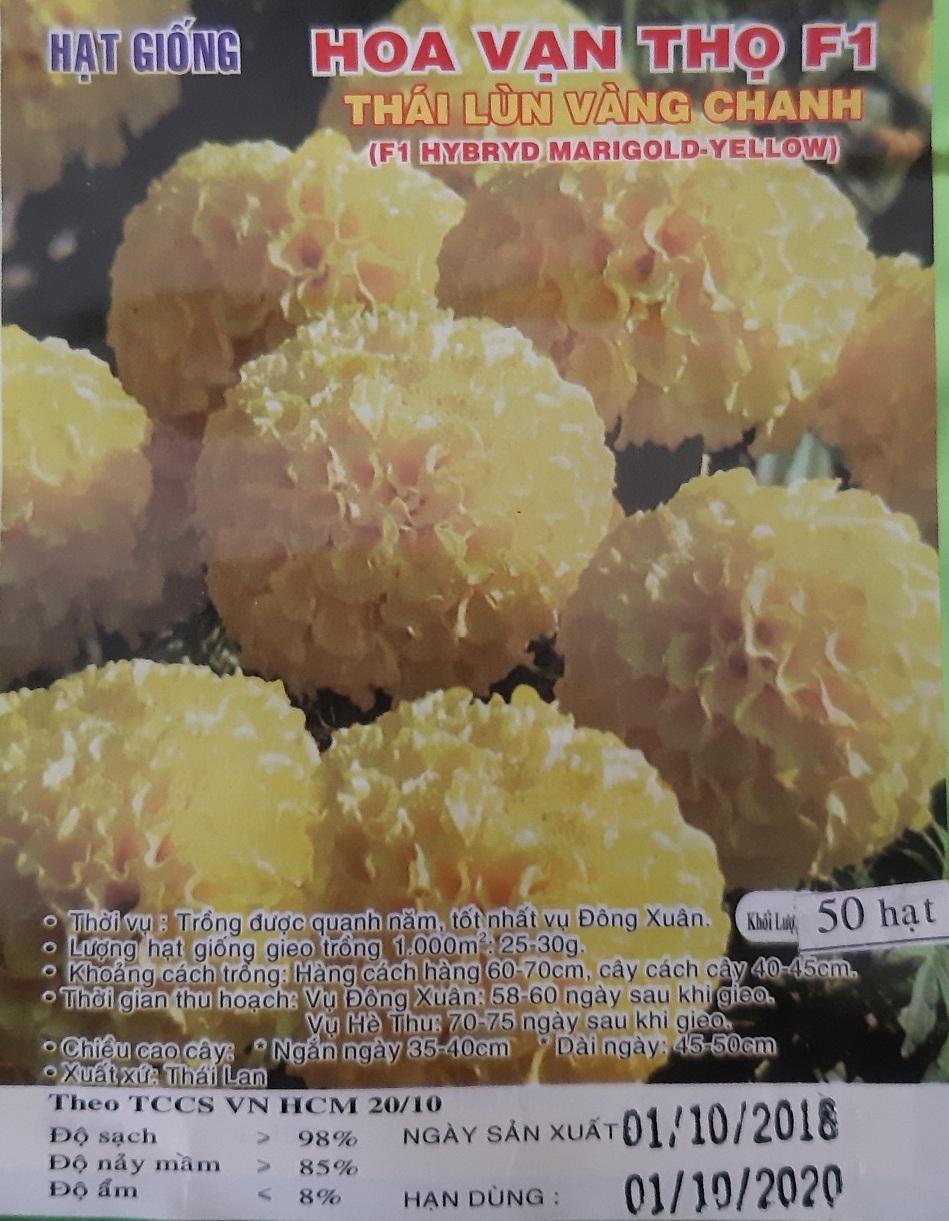 Hạt giống hoa vạn thọ vàng chanh