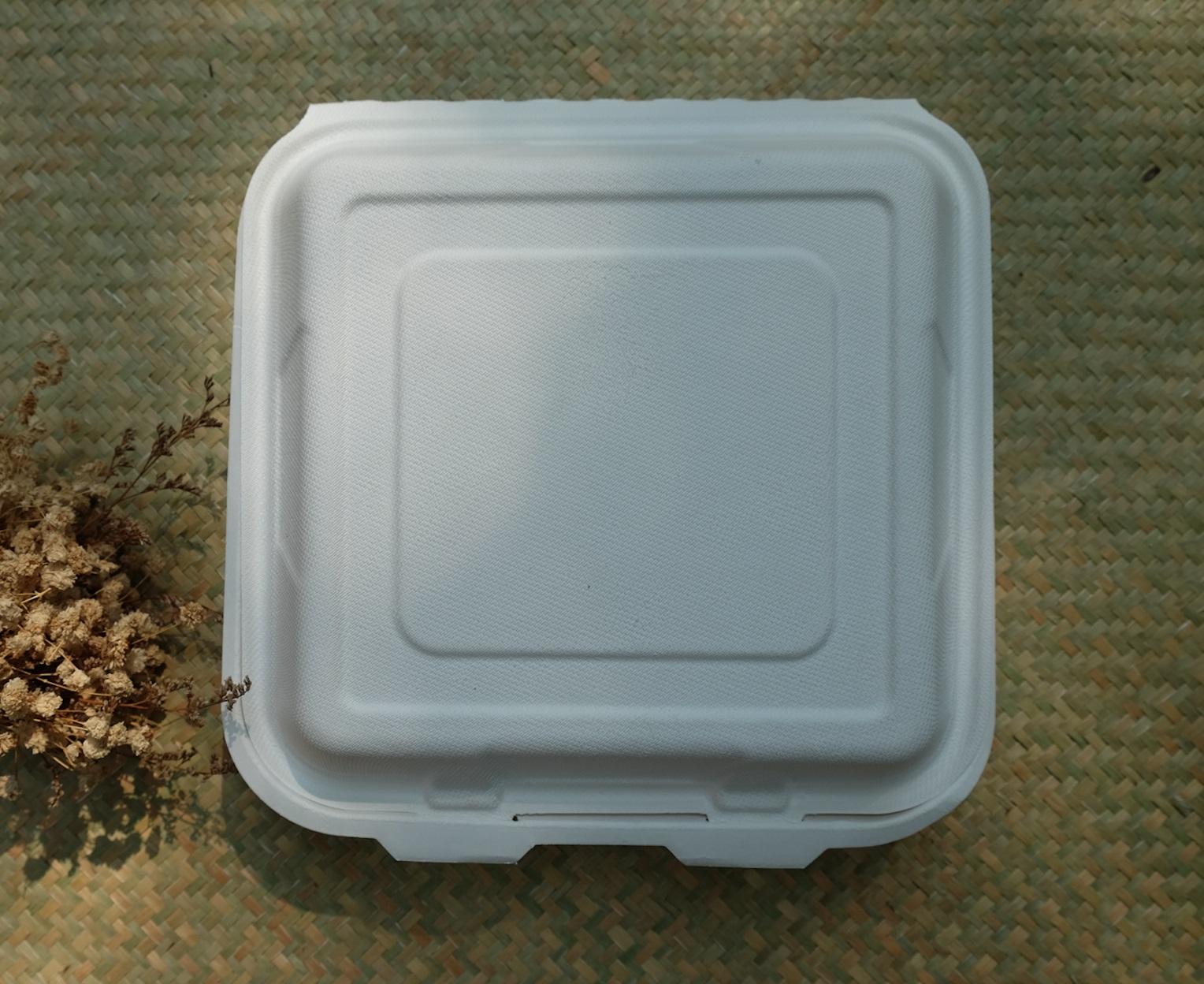 Organikhouse Lốc 50 Hộp đựng thức ăn dùng một lần từ chất liệu phân huỷ sinh học hiệu Gracz cỡ lớn_9inch (47x23.8x3.7 cm)