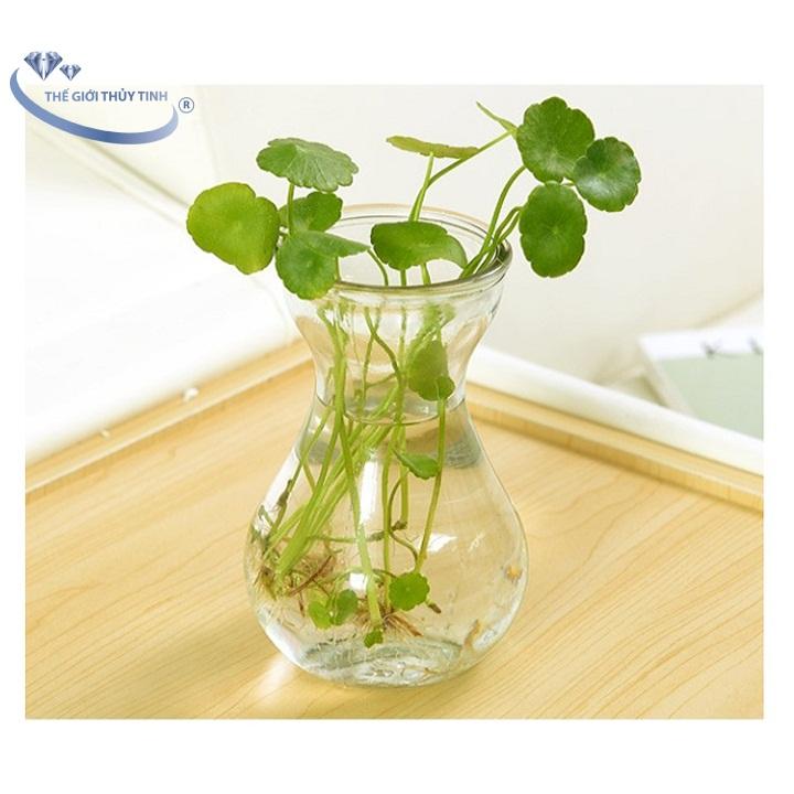 Bình Bông Lọ Hoa Thủy Tinh Miệng Loe
