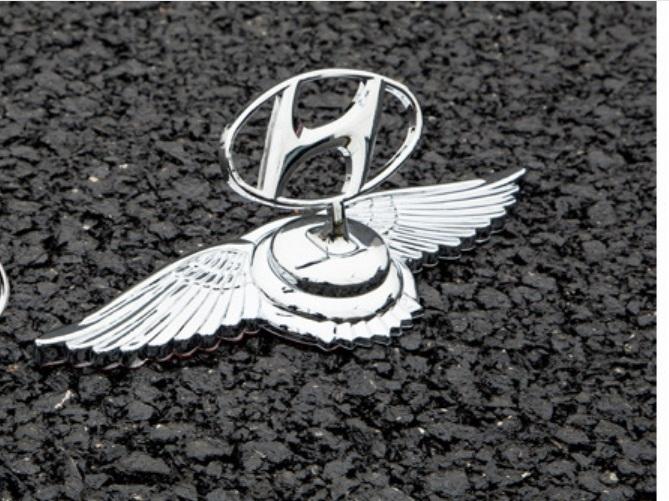 [HCM]Logo cánh chim 3D cao cấp gắn capo ô tô