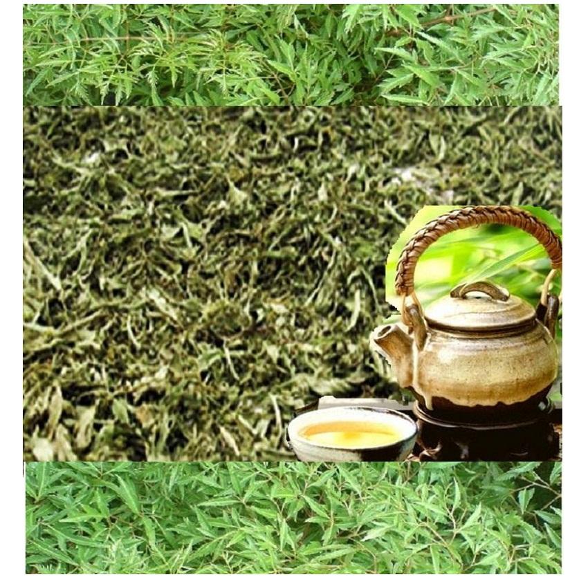 Trà Lá Đinh Lăng - Thảo lộc - Túi 200g