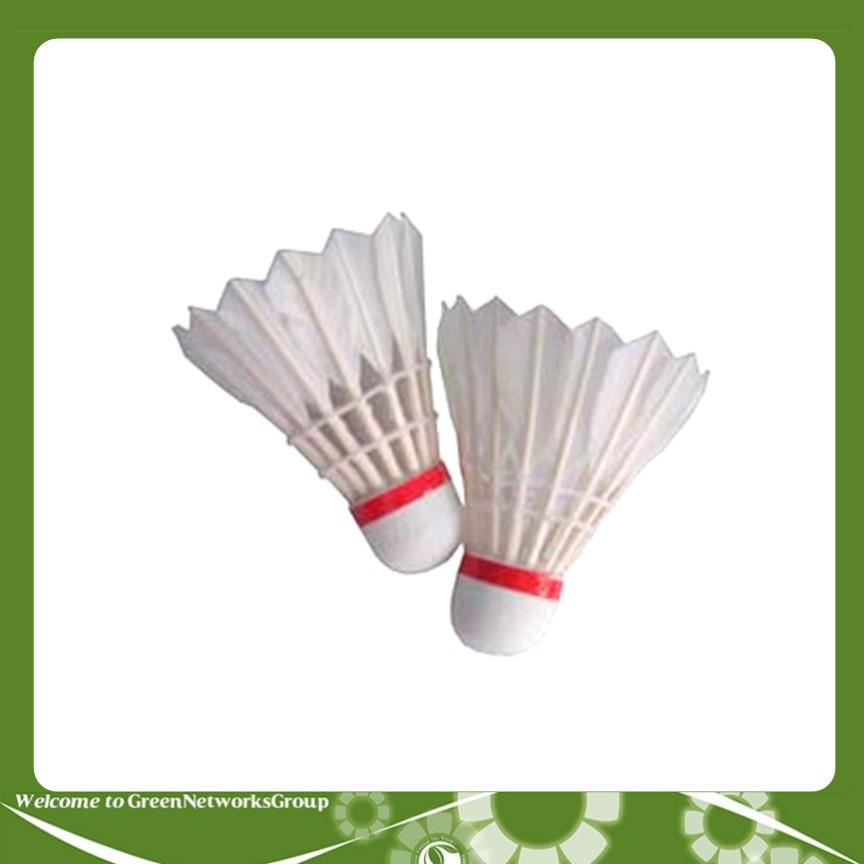 Ống cầu lông Pando 12 quả GreenNetworks