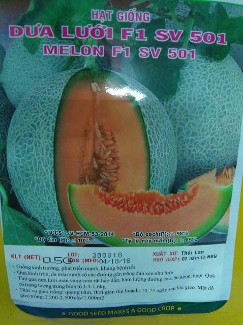 Hạt cay dưa lưới ruột cam Thái Lan - khoảng 20 hạt - Melon