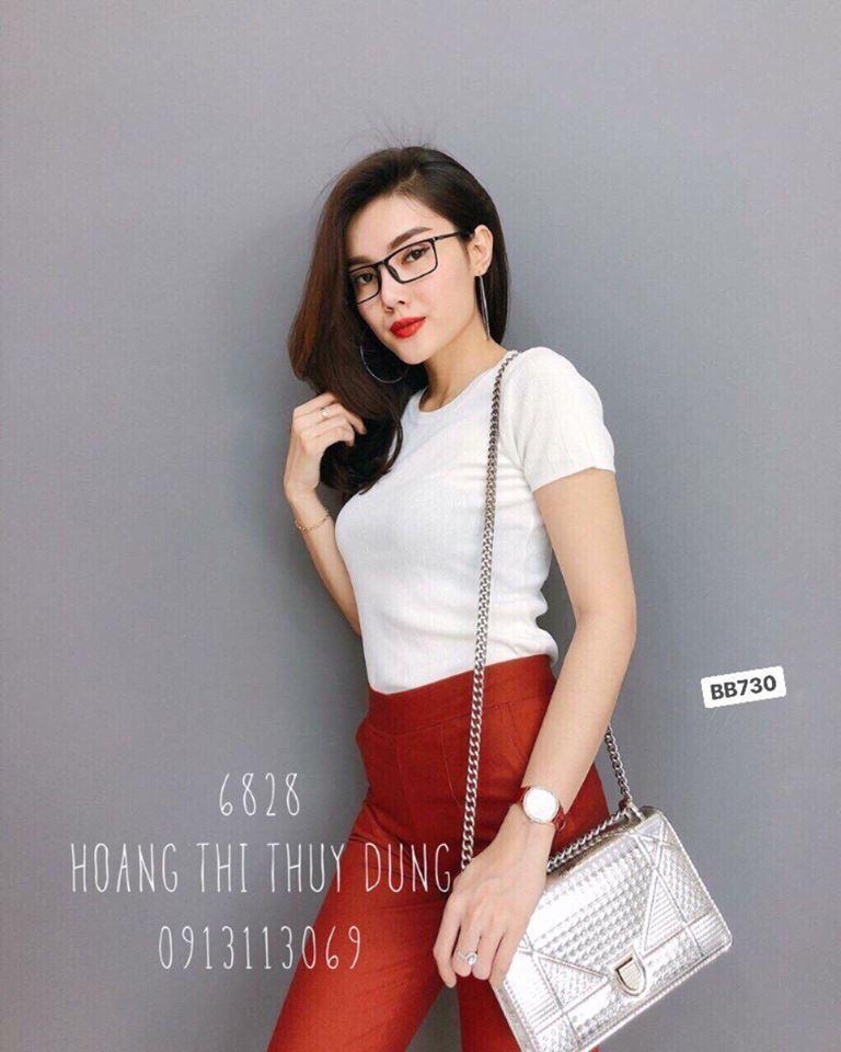 [HCM]Áo thun nữ cổ tròn thun Thái cao cấp Đẹp Store 257