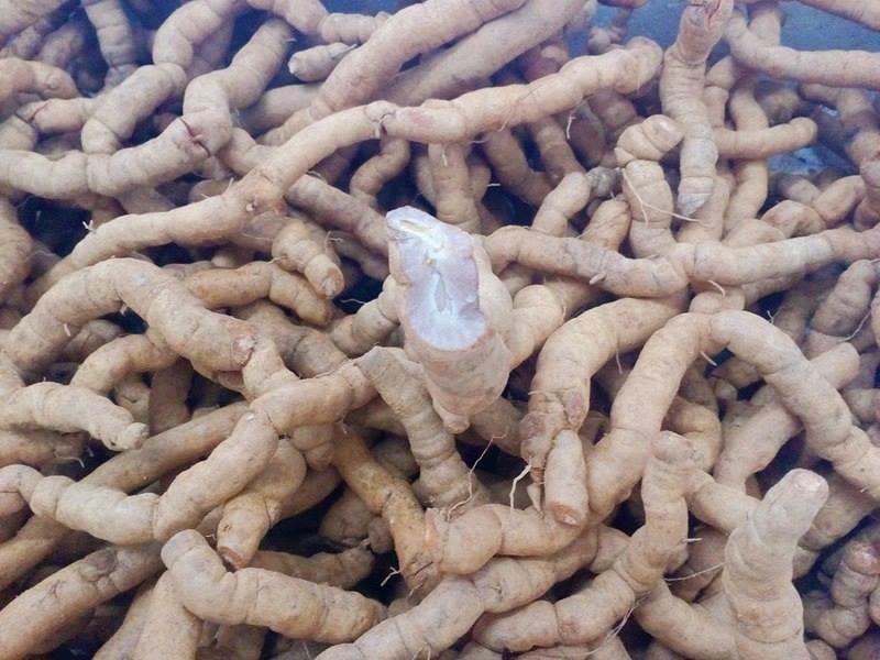 ba kích tím quảng ninh 2kg