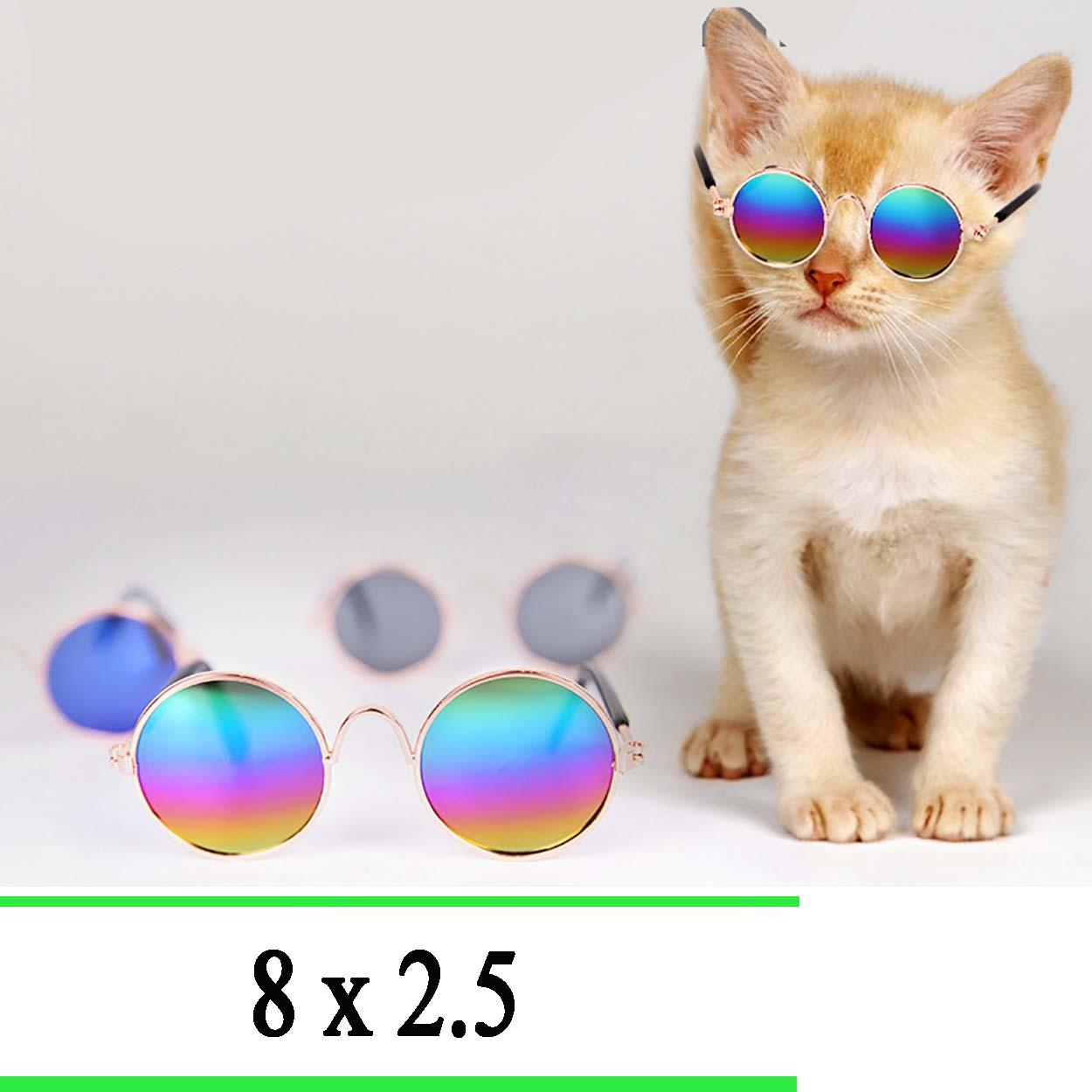 [HCM]Mắt kính cute cho chó mèo - MAT KINH 002