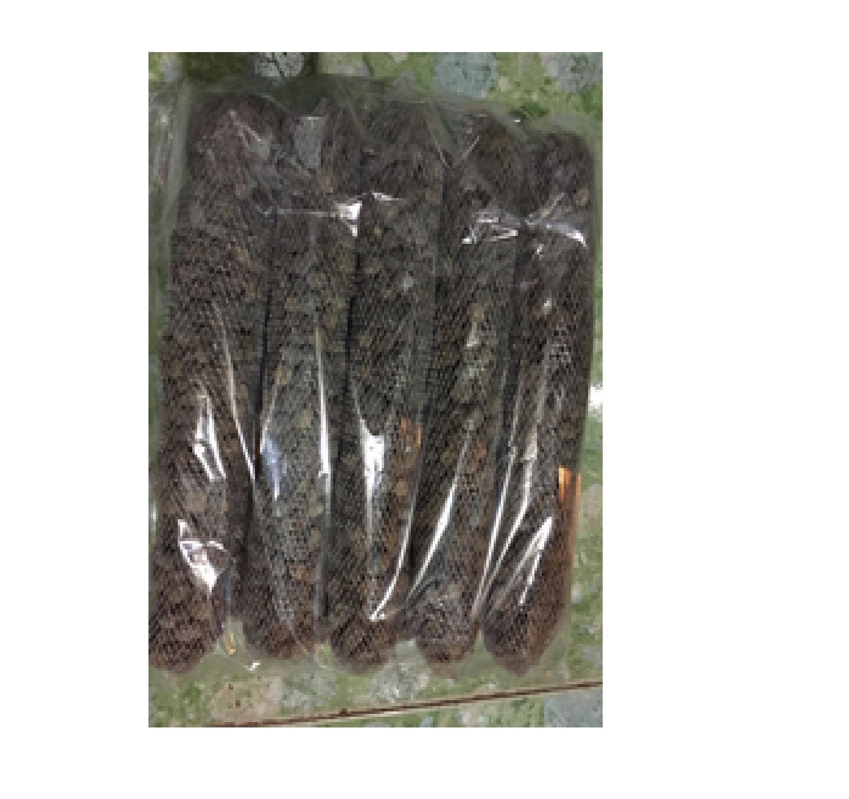 20 túi phân dê ủ nấm trichoderma và 20 túi phân dê kết hợp phân hữu cơ Bỉ, bổ sung vi lượng dài 20cm