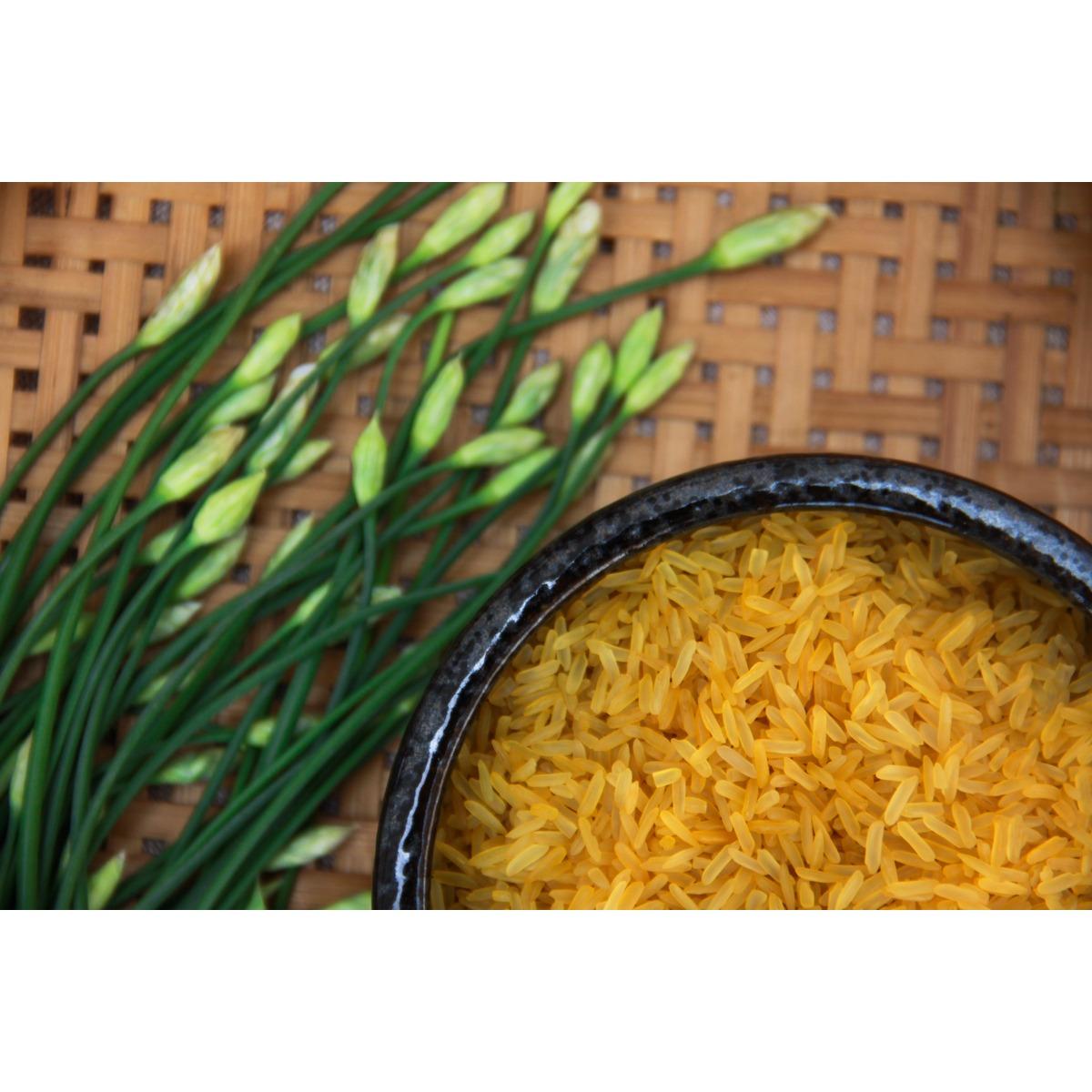 [HCM]Gạo Mầm Nghệ Vibigaba hộp 1kg