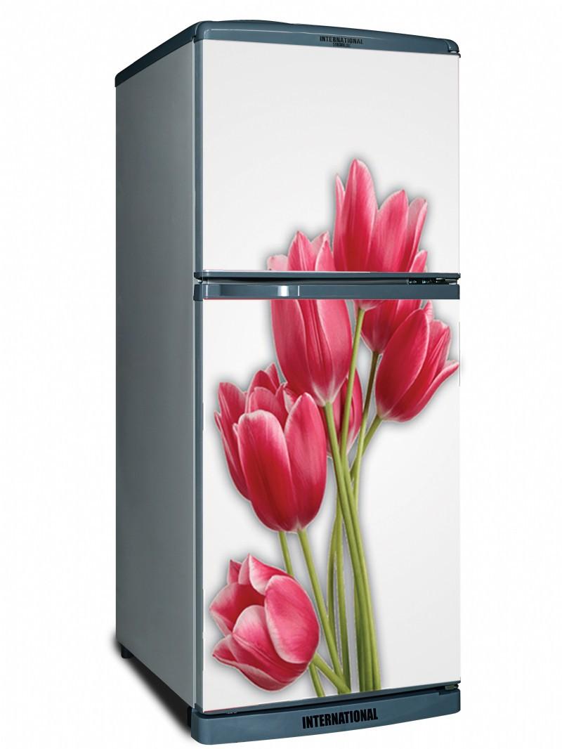 Decal dán tủ lạnh Hoa Tuy lip