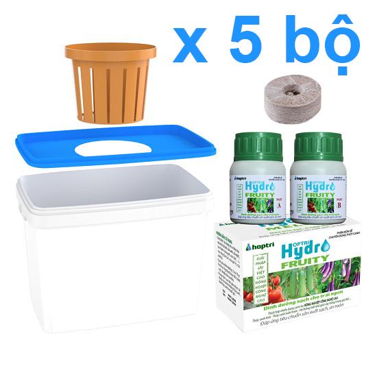 Bộ 5 thùng thủy canh trồng cây ăn trái - Growbox Fruity